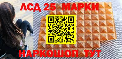прущие грибы Севастополь