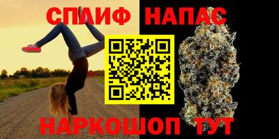 прущие грибы Севастополь