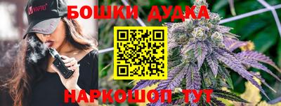 прущие грибы Севастополь