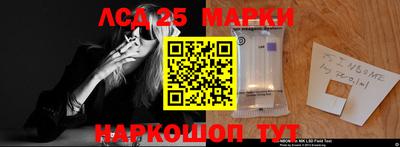 ГАЛЛЮЦИНОГЕННЫЕ ГРИБЫ Свободный